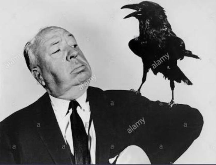 Alfred Hitchcock in The Birds (1963)