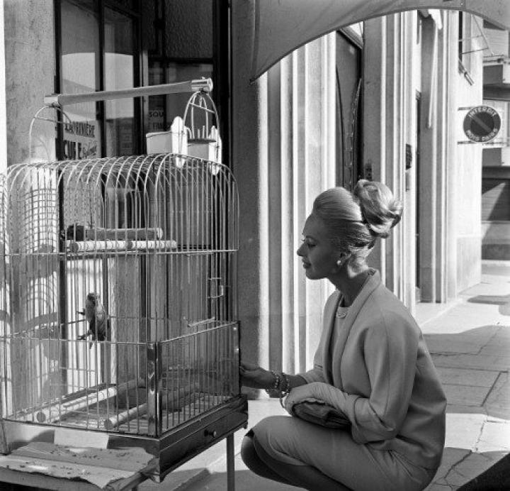 Tippi Hedren at an event for The Birds (1963)