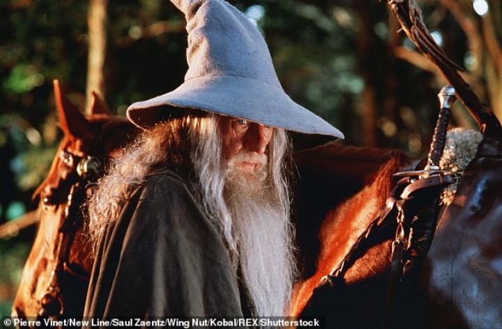 Ian McKellen in The Lord of the Rings: The Fellowship of the Ring (2001)