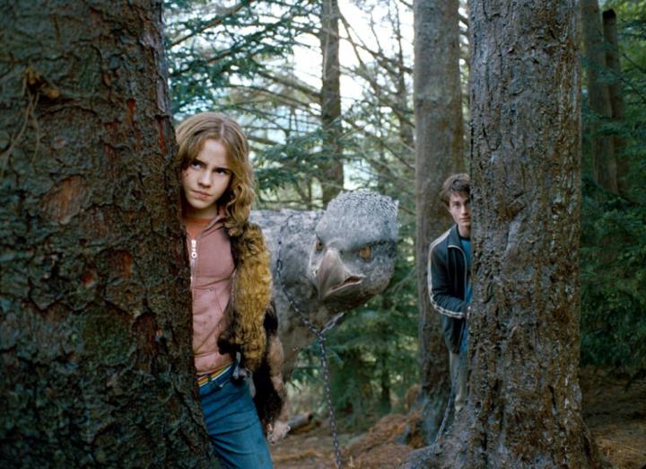 Daniel Radcliffe and Emma Watson in Harry Potter and the Prisoner of Azkaban (2004)