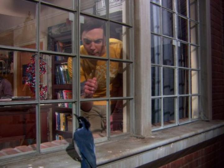 Jim Parsons in The Big Bang Theory (2007)