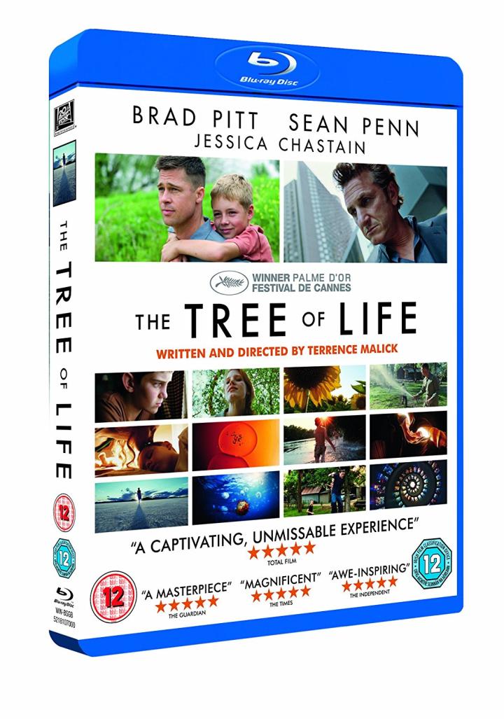 Brad Pitt, Sean Penn, Jessica Chastain, and Laramie Eppler in The Tree of Life (2011)