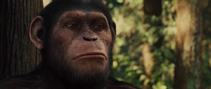 Andy Serkis in Rise of the Planet of the Apes (2011)