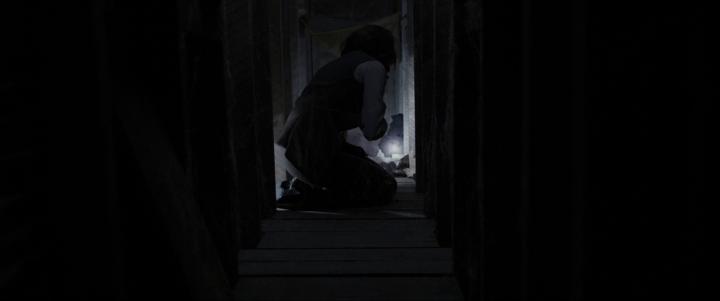 Vera Farmiga in The Conjuring (2013)