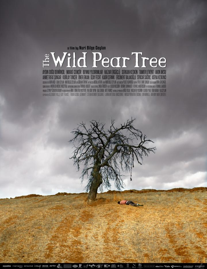 Murat Cemcir in The Wild Pear Tree (2018)
