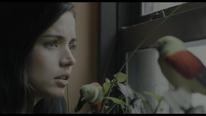 Ana de Armas in Knives Out (2019)