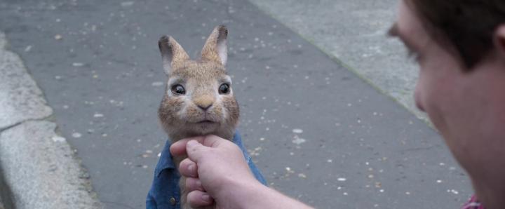 Peter Rabbit 2: The Runaway (2021)