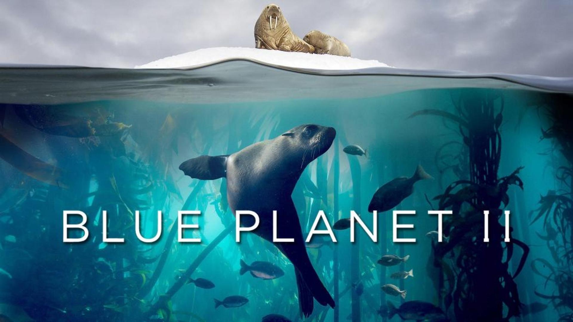 مستند سریالی  Blue Planet II با زیرنویس چسبیده