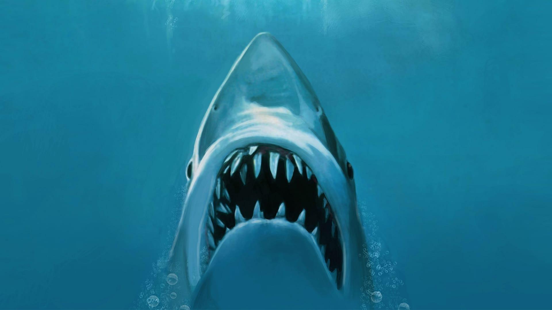 فیلم  Jaws 1975 با زیرنویس چسبیده