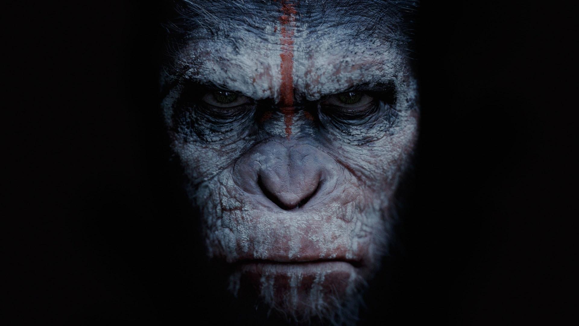 فیلم  Dawn of the Planet of the Apes 2014 با زیرنویس چسبیده