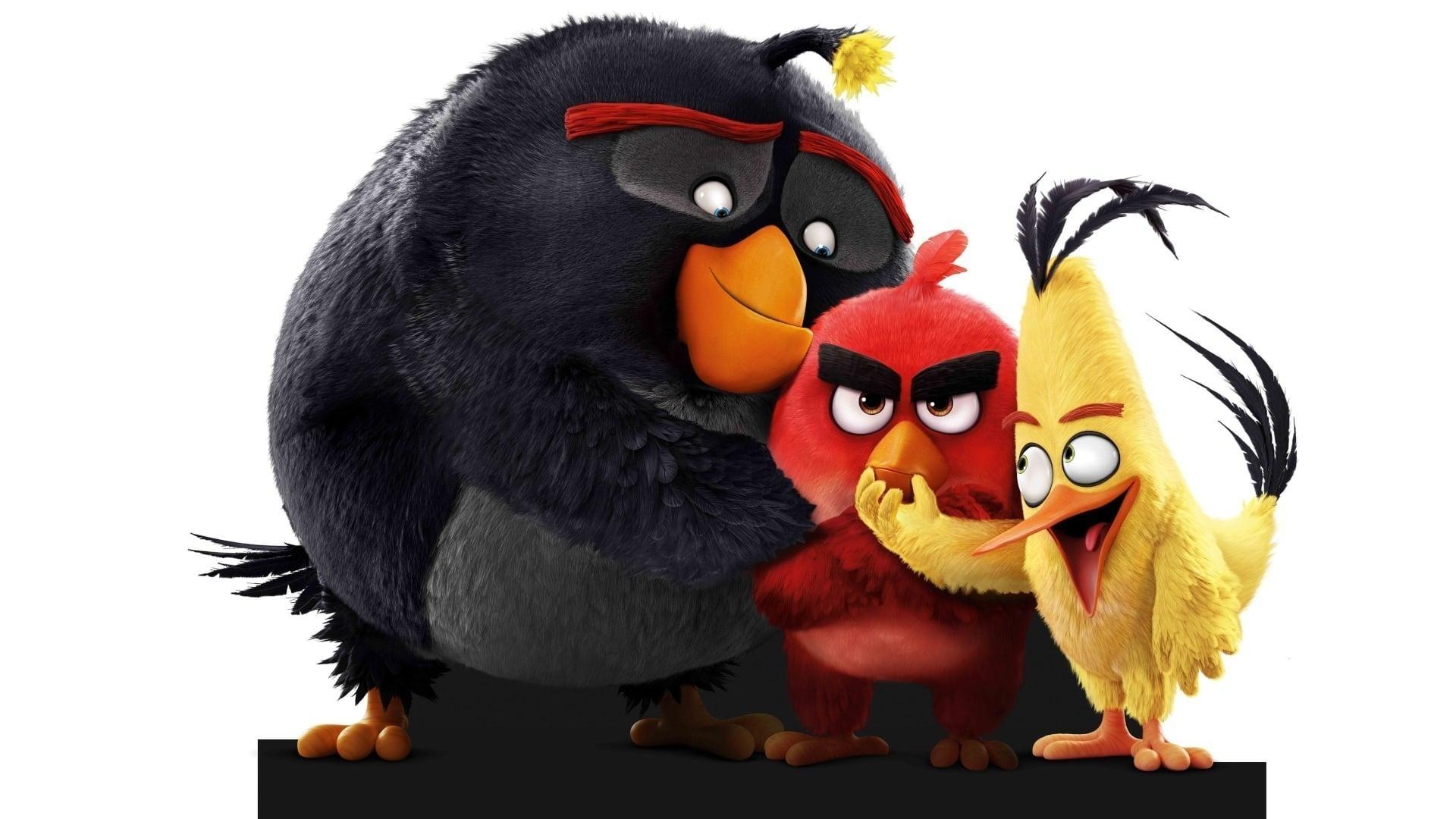 انیمیشن  The Angry Birds Movie 2016 با زیرنویس چسبیده