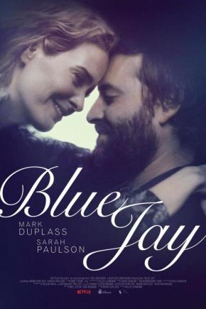 دانلود فیلم  Blue Jay 2016