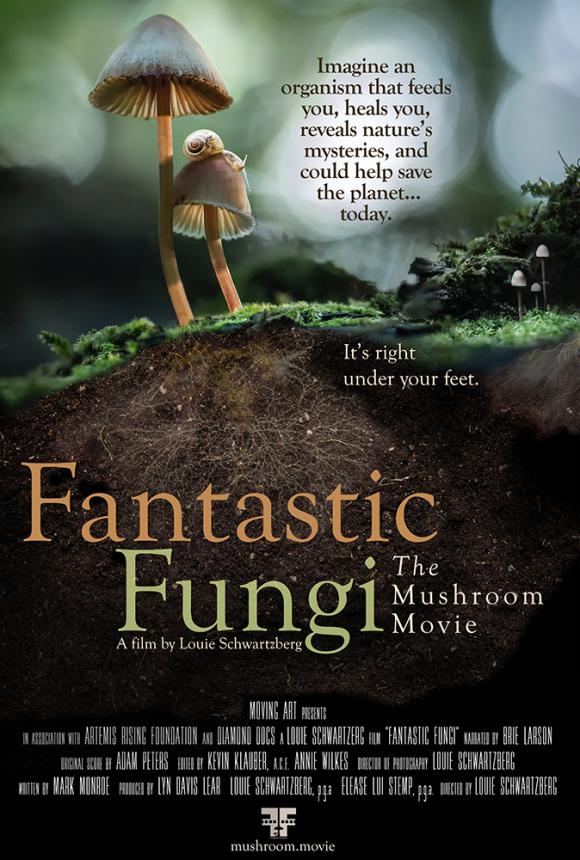 مستند  Fantastic Fungi 2019
