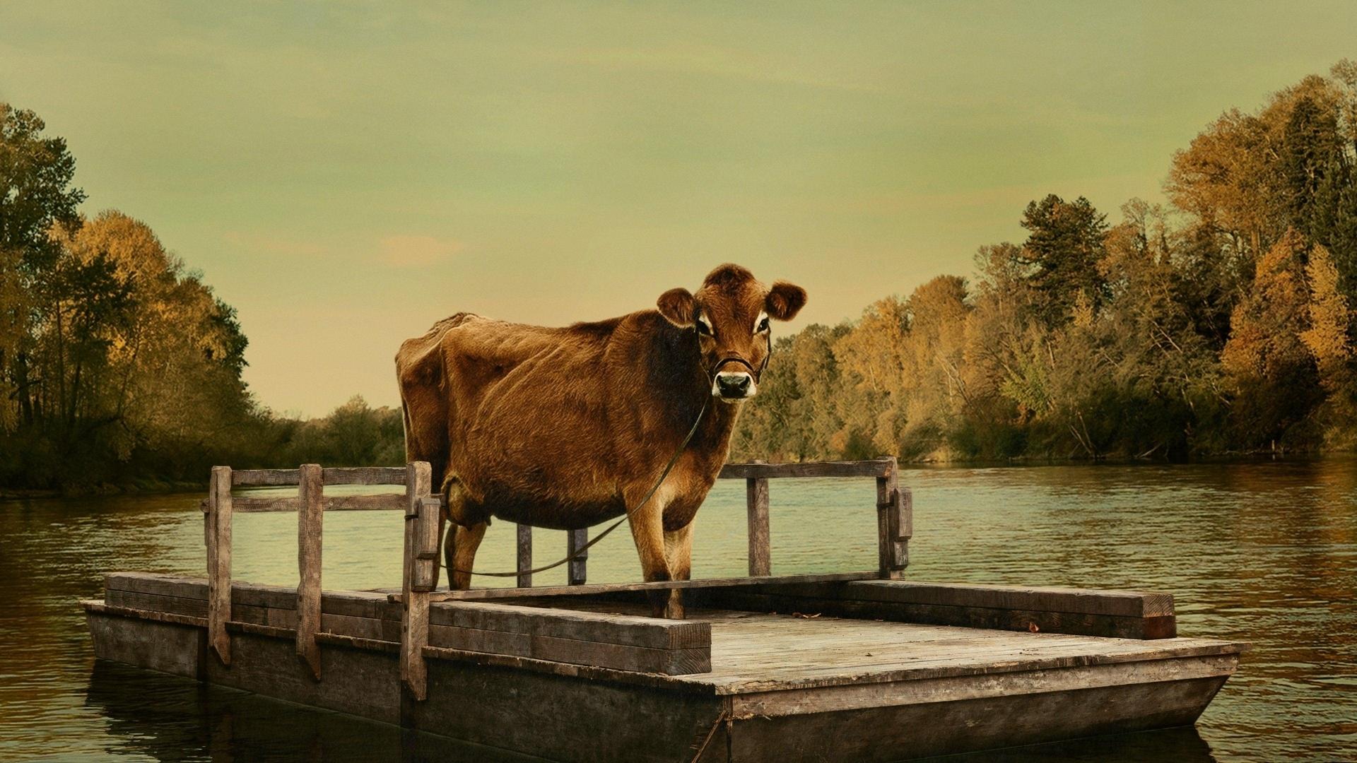 فیلم  First Cow 2019 با زیرنویس چسبیده