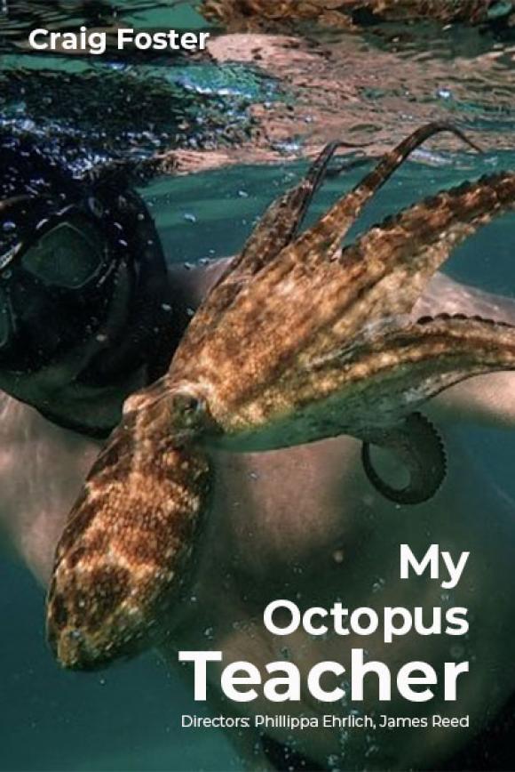 مستند  My Octopus Teacher 2020