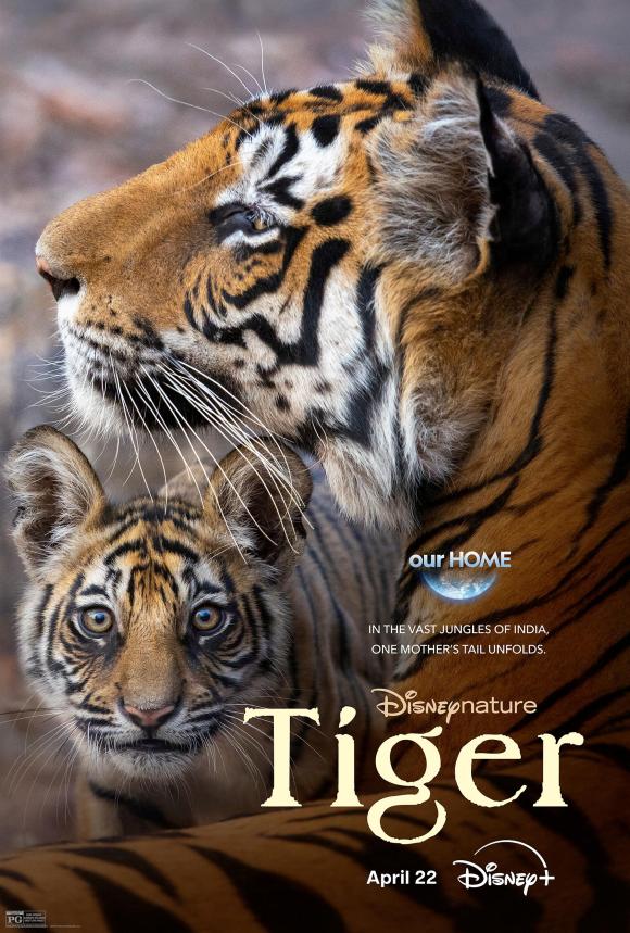 فیلم Tiger 2024